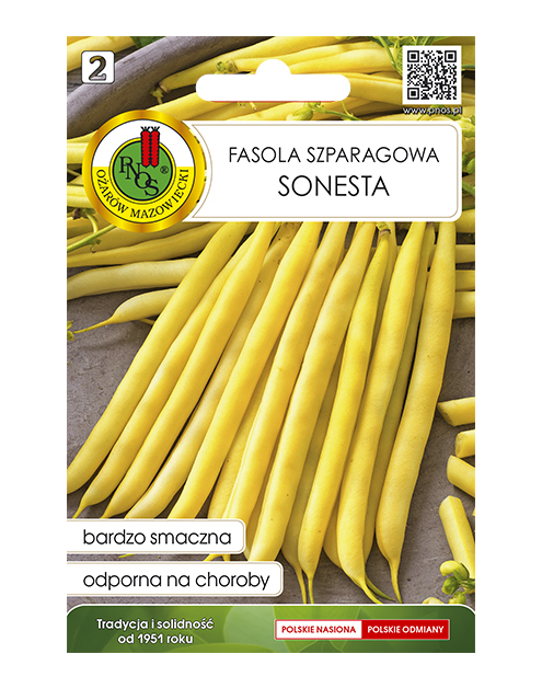 Zdjęcie: Fasola szparagowa żółta Karłowa Sonesta 20 g PNOS