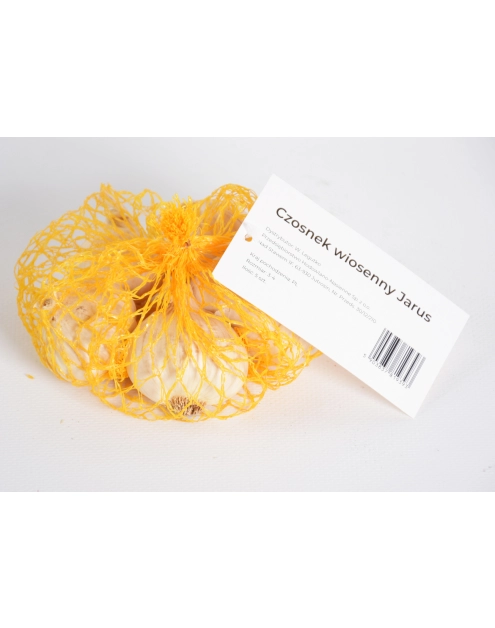 Zdjęcie: Czosnek wiosenny Jarus, 3-4 mm, 4 szt. W.LEGUTKO