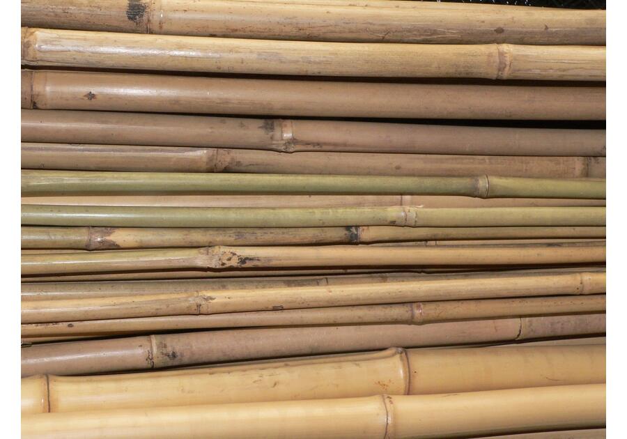 Zdjęcie: Tyczka bambusowa 150 cm RIM KOWALCZYK