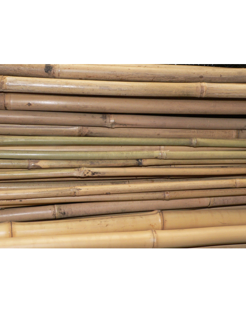 Zdjęcie: Tyczka bambusowa 150 cm RIM KOWALCZYK