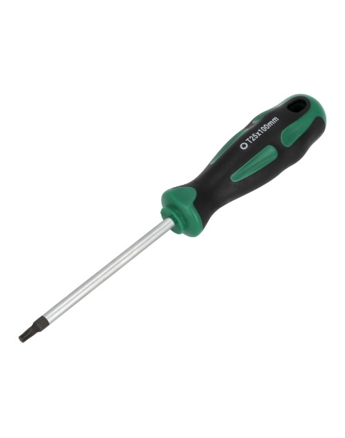 Zdjęcie: Wkrętak Torx T25 x 100 mm S-12380 STALCO