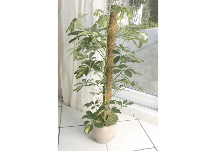 Zdjęcie: Tyczka kokosowa Stake Coco fi45 mm x 1 m, naturalny NORTENE