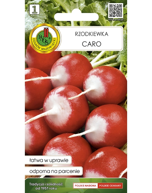 Zdjęcie: Rzodkiewka Caro 5 g PNOS