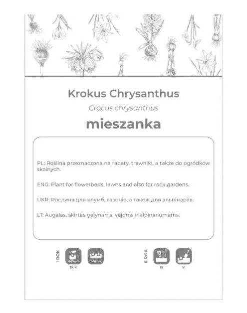 Zdjęcie: Krokus Chrysanthus mieszanka 8 sztuk W.LEGUTKO