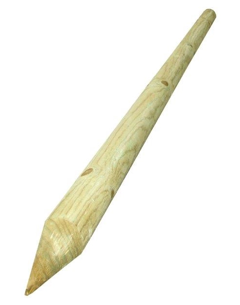 Zdjęcie: Palik do drzewek 6x200 cm COMPLEX