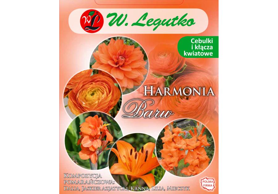 Zdjęcie: Kompozycja pomarańczowa Harmonia Barw Wiosna W.LEGUTKO
