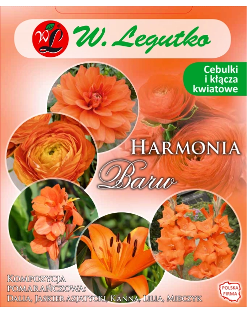 Zdjęcie: Kompozycja pomarańczowa Harmonia Barw Wiosna W.LEGUTKO