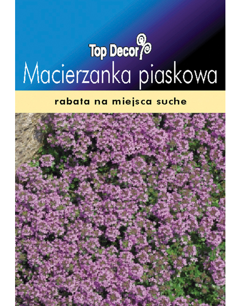 Zdjęcie: Macierzanka piaskowa TOP DECOR