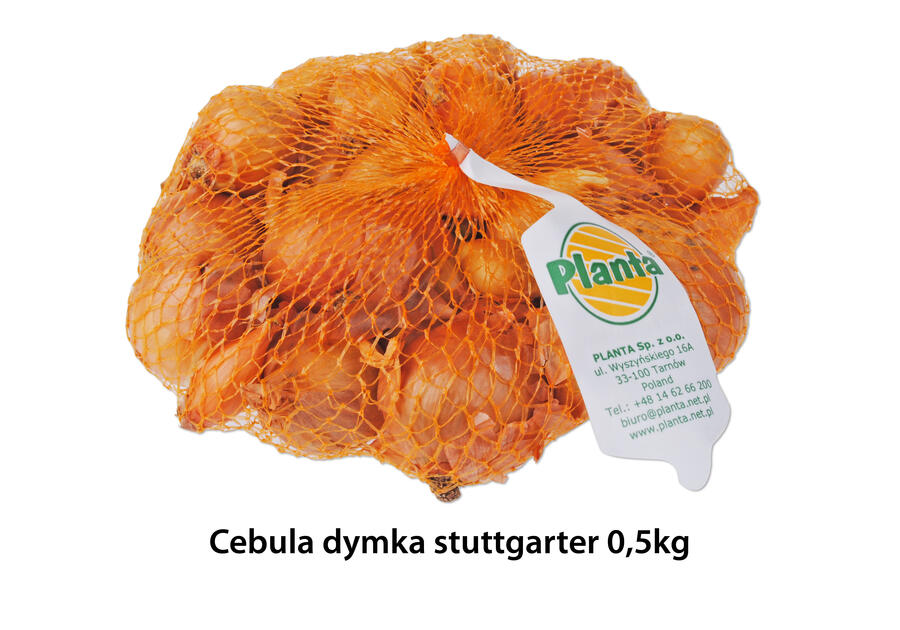 Zdjęcie: Cebula dymka Stuttgarter 0,5 kg PLANTA