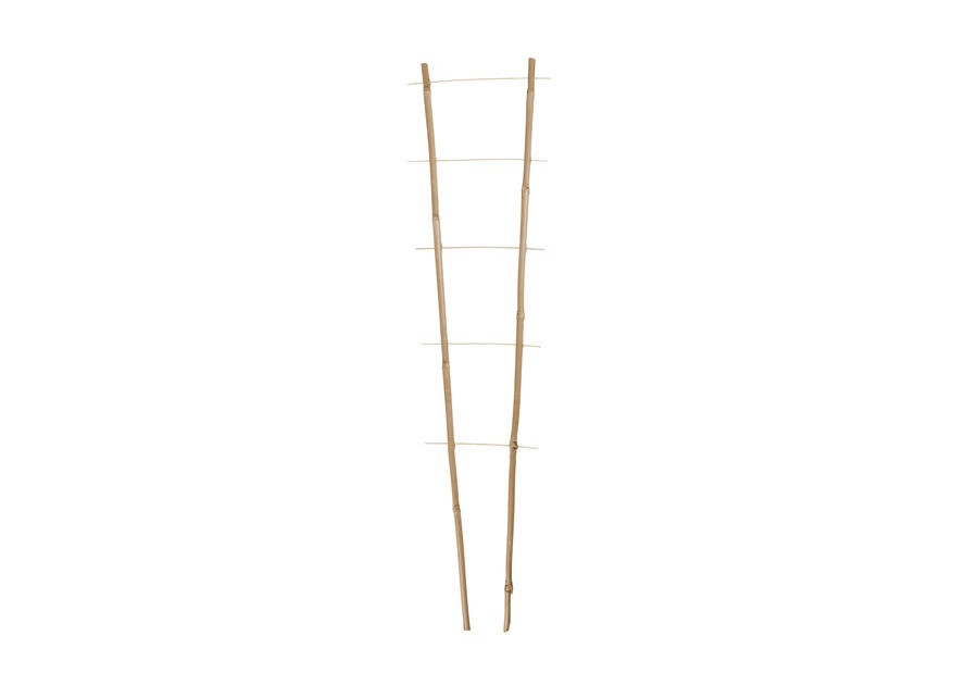 Zdjęcie: Podpora kwiatowa bambus 60 cm podwójna TIN TOURS