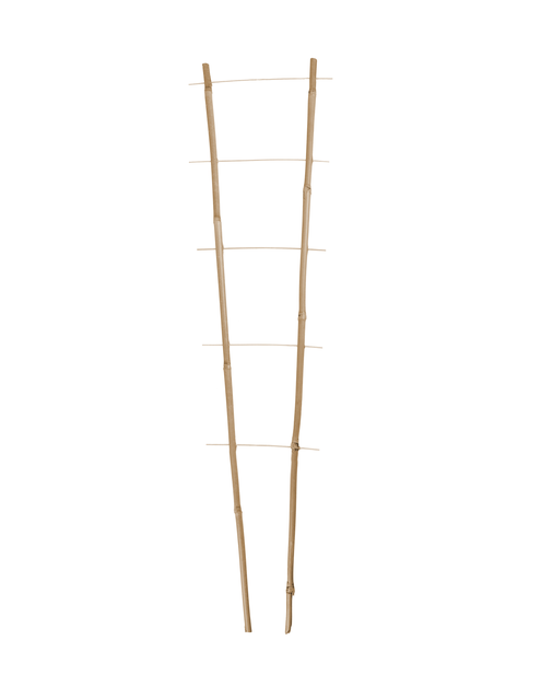Zdjęcie: Podpora kwiatowa bambus 60 cm podwójna TIN TOURS