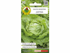 Sałata głowiasta masłowa Justyna 0,5 g PNOS