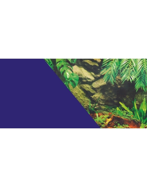 Zdjęcie: Tło do akwarium dwustronne podwodna palma/niebieskie 60x120 cm ZOLUX