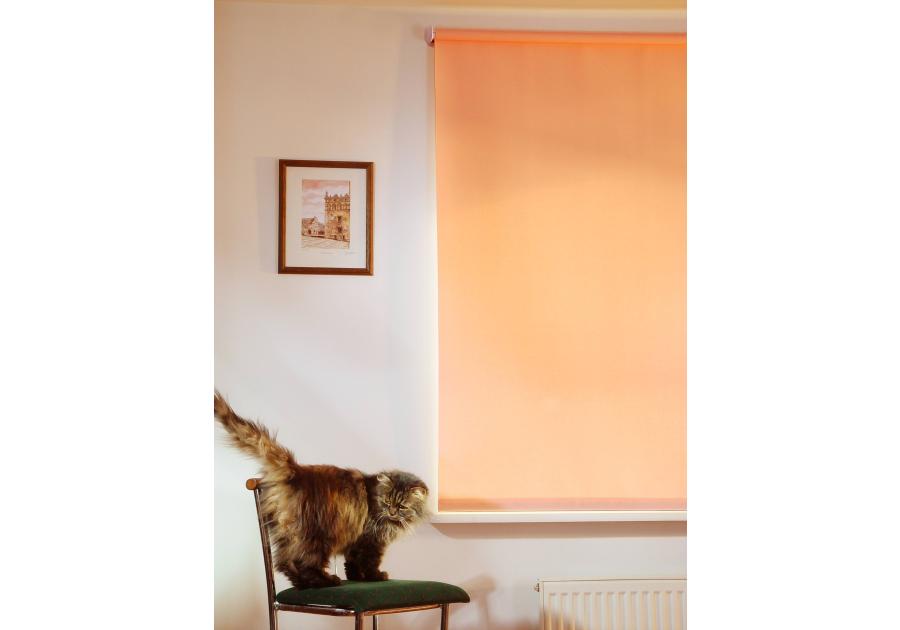 Zdjęcie: Roleta zwijana K827  120x175 cm KARWEL