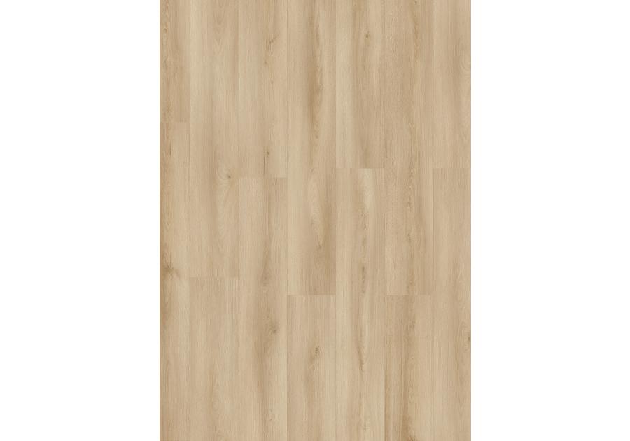 Zdjęcie: Panele podłogowe K653 Dąb Natural Lausanne,8 mm,AC5,V-fuga KRONOSPAN