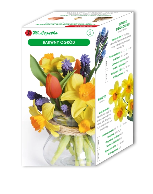 Zdjęcie: Barwny Ogród kompozycja cebul kwiatowych W.LEGUTKO