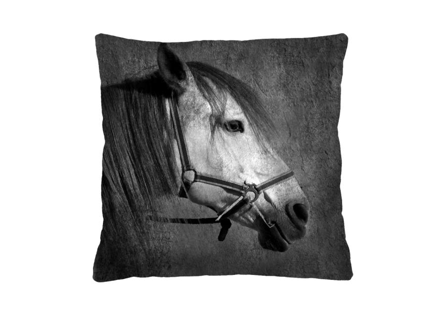 Zdjęcie: Poduszka Mistral 40x40 cm BERTONI