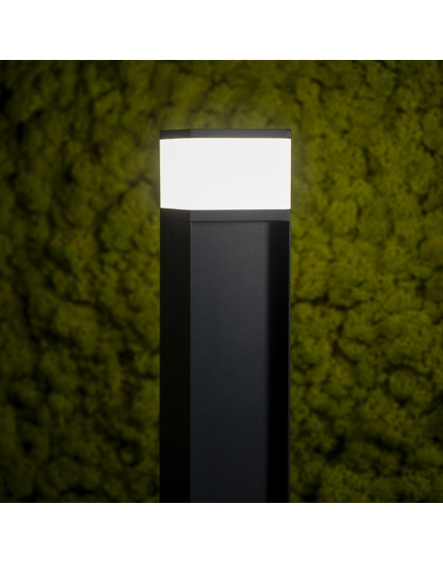 Zdjęcie: Oprawa ogrodowa Dasten 80 B KANLUX