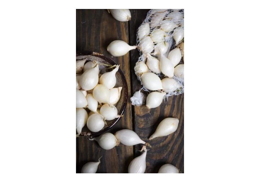 Zdjęcie: Cebula dymka White Snowball 300 g W.LEGUTKO
