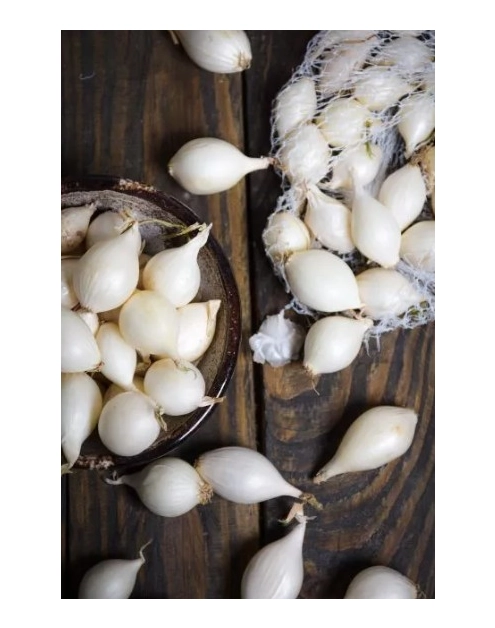 Zdjęcie: Cebula dymka White Snowball 300 g W.LEGUTKO