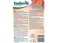 Zdjęcie: Płyn uniwersalny Baking Soda 5 L LUDWIK