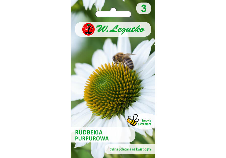 Zdjęcie: Rudbekia purpurowa Jeżówka W.LEGUTKO