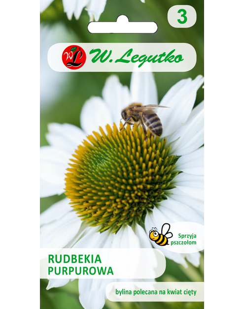 Zdjęcie: Rudbekia purpurowa Jeżówka W.LEGUTKO