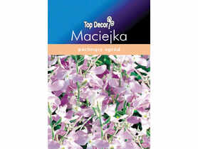 Maciejka TOP DECOR