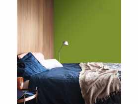 Tester farby Kolory Świata 0,03 L dzikie pnącze DULUX