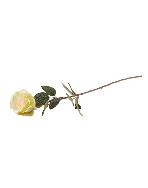 Zdjęcie: Róża pojedyncza CV06236-16 TOP GIFTS