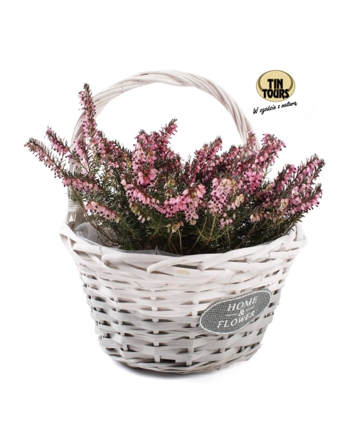 Zdjęcie: Koszyk kwietnik zawieszany 24x16x14/27 cm TIN TOURS