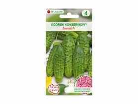 Ogórek konserwowy Śremski F1 nasiona inkrustowane 4 g W. LEGUTKO