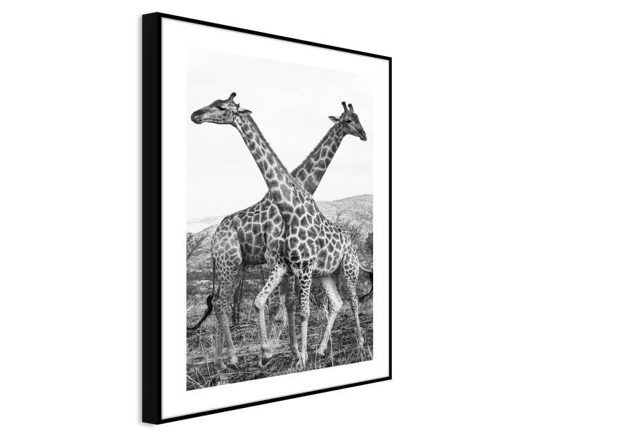 Zdjęcie: Obraz Artbox Digi 50x70 cm Ab042 Giraffe STYLER