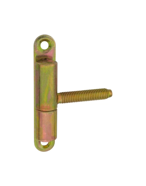 Zdjęcie: Zawias 15x50 mm przykręcany ocynk żółty, 2 sztuki METRO