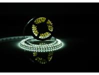 Zdjęcie: Taśma LED 50 m premium 12 V dioda 28x35 IP20 9,6 W/m zimna biała POLGAR