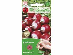 Rzodkiewka Krakowianka 300 szt. W.LEGUTKO