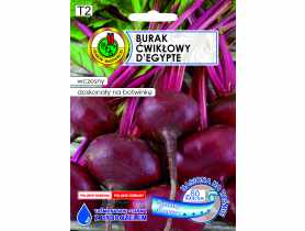 Burak ćwikłowy DEgypte 6 m taśma PNOS