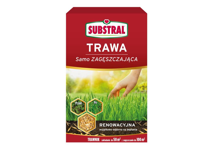 Zdjęcie: Trawa renowacyjna 1 kg SUBSTRAL