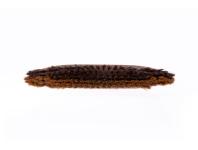 Zdjęcie: Szczotka do parkietów 2w1 VILEDA