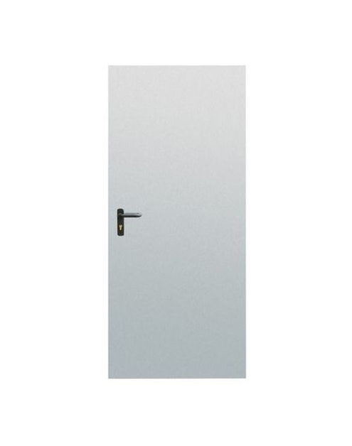 Zdjęcie: Drzwi uniwersalne Mars ocynk 100 cm DOORPOL