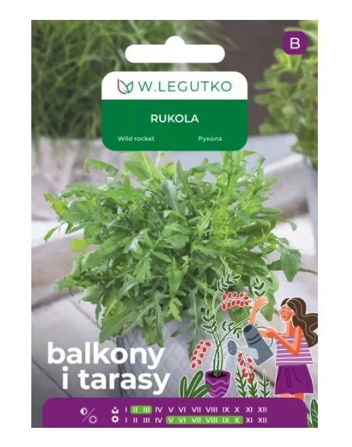 Zdjęcie: Rukola 2 g na balkon i taras W.LEGUTKO