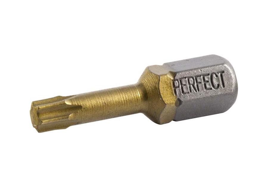 Zdjęcie: Końcówka torx 15x25 titanium do wkrętarki Perfect 10 szt. s-66317 STALCO