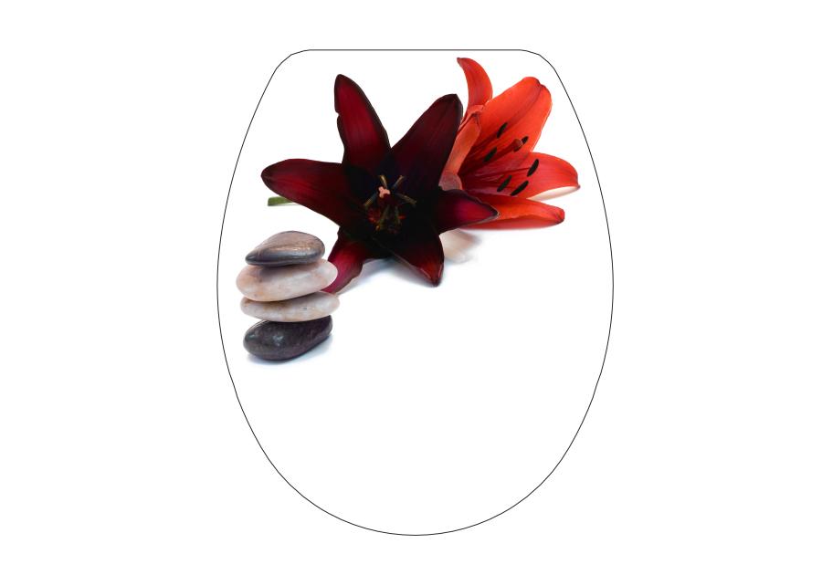 Zdjęcie: Deska wolnoopadająca Snail foto zen BISK