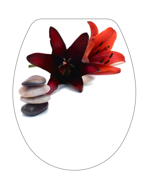 Zdjęcie: Deska wolnoopadająca Snail foto zen BISK