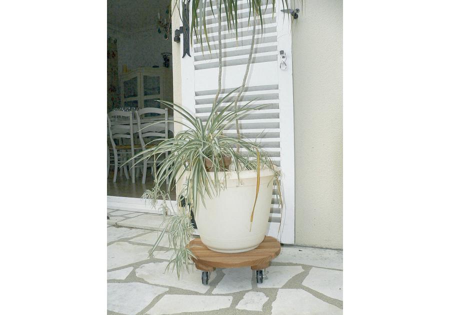 Zdjęcie: Podstawka drewniana na kółkach pod doniczkę Flora Roll, fi40 cm, FSC-FR, naturalny NORTENE