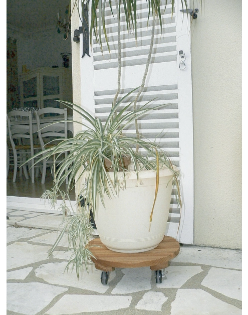 Zdjęcie: Podstawka drewniana na kółkach pod doniczkę Flora Roll, fi40 cm, FSC-FR, naturalny NORTENE
