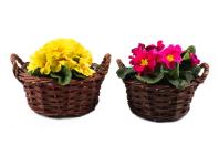 Zdjęcie: Komplet koszy wiklinowych 27x27 cm/31x31 cm - 2 szt. TIN TOURS