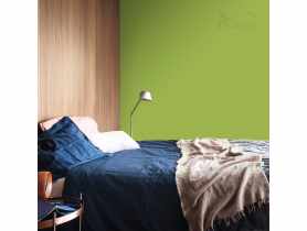 Tester farby Kolory Świata 0,03 L las równikowy DULUX