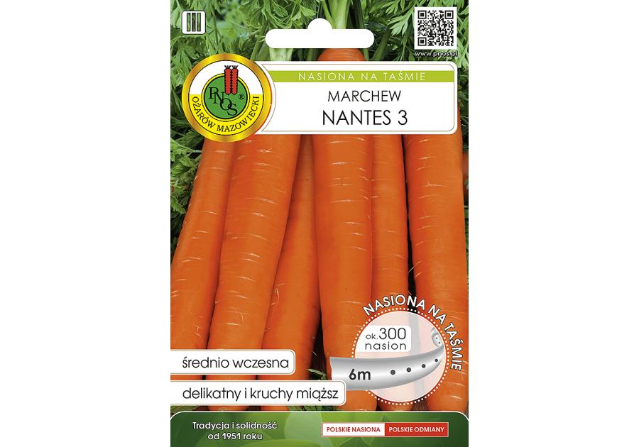 Zdjęcie: Marchew jadalna Nantes 3, nasiona na taśmie 6 m PNOS