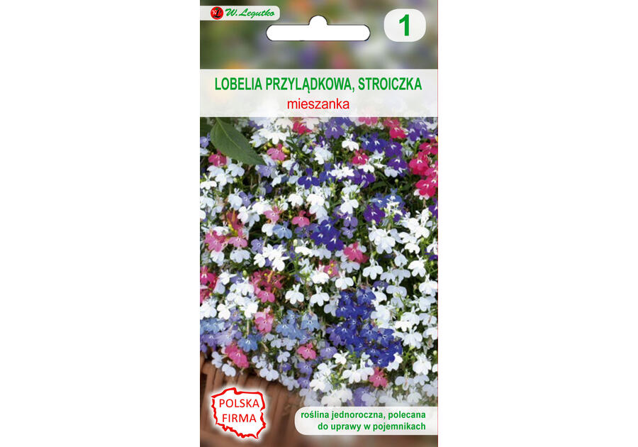 Zdjęcie: Lobelia przylądkowa stroiczka nasiona tradycyjne 0.1 g W. LEGUTKO